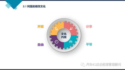 阿里巴巴組織能力建設(shè) 驅(qū)動企業(yè)持續(xù)增長的管理新范式