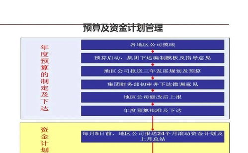 龍湖企業(yè)管理與運營的精細化管理策略